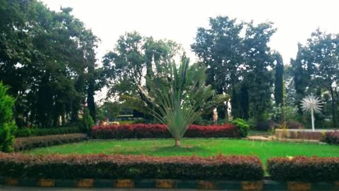 Nice Garden 写真素材