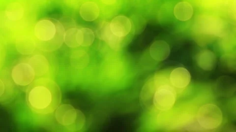 Nice green nature foliage bokeh from spring forest Stock Footage