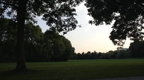 A nice green park with trees Video stock 43259906