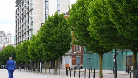 Nice green tree line in central Manchester 库存影片 195984674