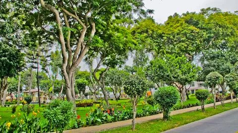 Nice HDR park Stock Photos