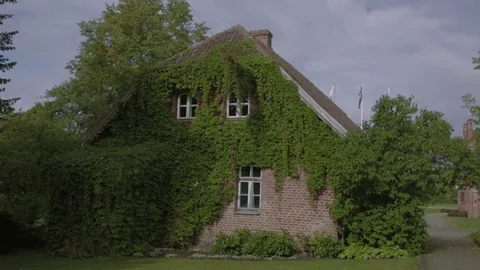 Nice house covered with moss 動画素材 84220185