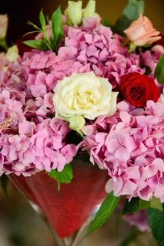 Nice hydrangeas and roses Foto stock