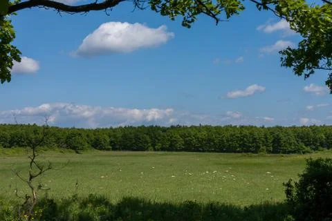 Nice landscape from a forest glade Stock Photos
