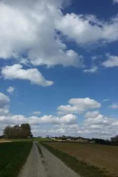 Nice  landscape Stock Photos