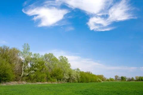 Nice landscape in steppe Stock Photos