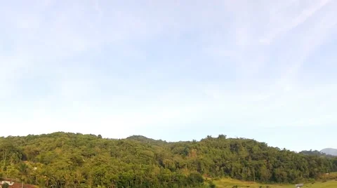 Nice landscape with trees and sky Video stock 136323652