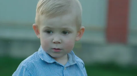 Nice Little Boy Outdoor Stock Footage 56261683