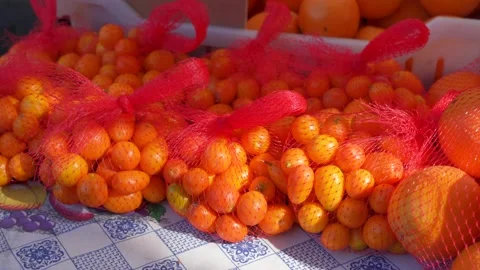 Nice Looking Orange Inside Nets Stock Footage 241609316