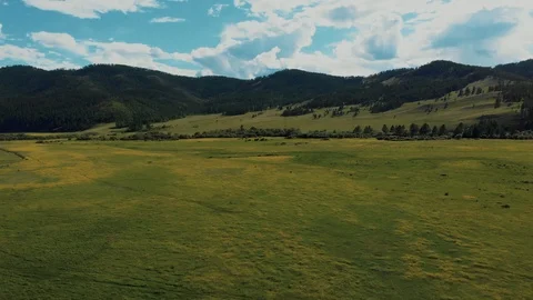 Nice meadow of siberia Stock Footage 117348344