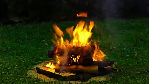 Nice medium Fire pit on a green campsite evening Stock Footage 69108244