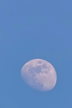 Nice moon captured during the day few days before full-moon Stock Photos