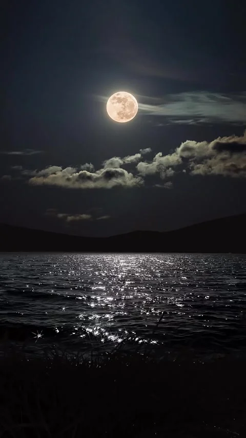 Nice Moon Stock Footage 236079640