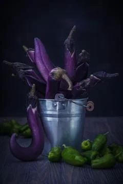Nice moonlight still life of thin purple eggplants in metal bucket and green  Stock Photos
