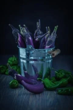 Nice moonlight still life of thin purple eggplants in metal bucket and green Stock Photos
