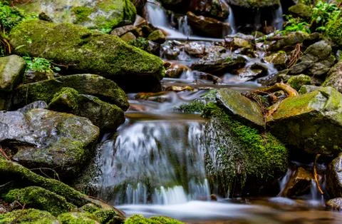 Nice mountain brook Stock Photos