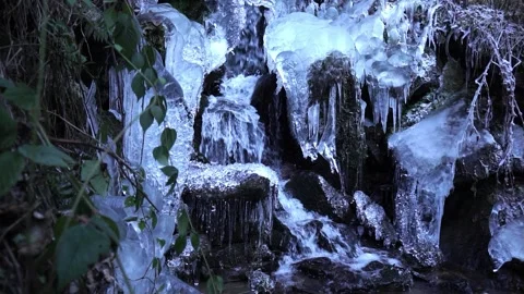 Nice natural scene -  a small waterfall made of ice and green leaves on the side Video stock 167847824