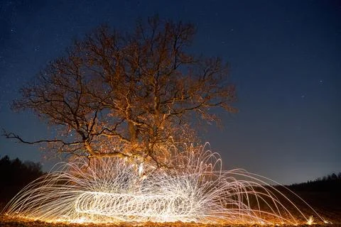 Nice night landscape with a lonely tree in the background of the stars. Lon.. Stock Photos