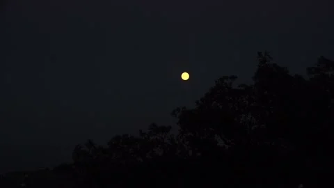 Nice night view of the moon Stock Footage 168474578