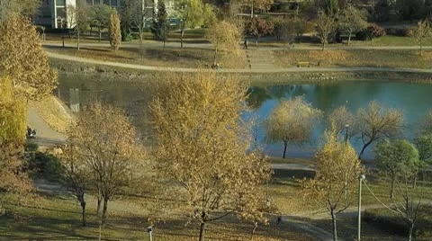 Nice park in autumn Stock Footage 8977950