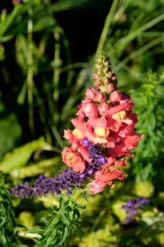 Nice park in germany Foto stock
