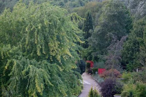 Nice park in germany Foto stock
