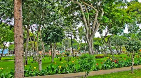 Nice park Stock Photos