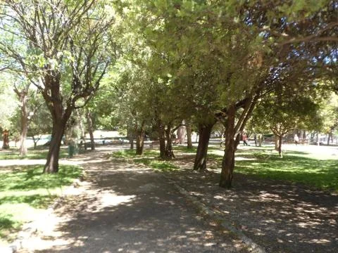 Nice Park Treeline Stock-Fotos