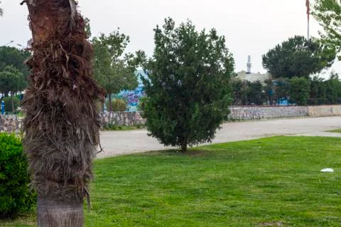 A Nice Park View from Trees Stock Photos