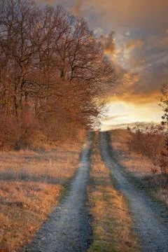Nice pathway in a sunset light Foto stock