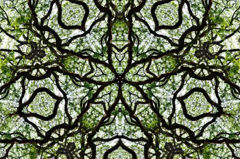 Nice pattern graphic background of green leaf and tree canopy Stockillustratie