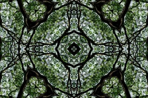 Nice pattern graphic background of green leaf and tree canopy イラスト素材