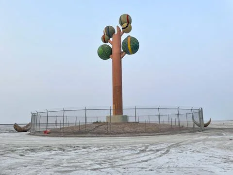 Nice Perspective of the Tree of Utah Stock Photos