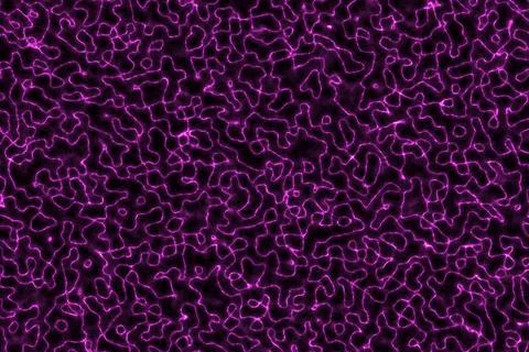 Nice pink electrical lights in grunge aqua computer graphic backdrop Stock-Illustration
