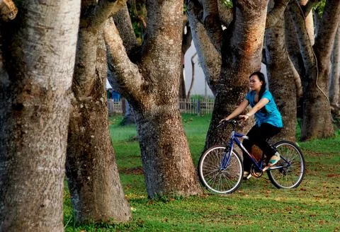 Nice placed Foto stock