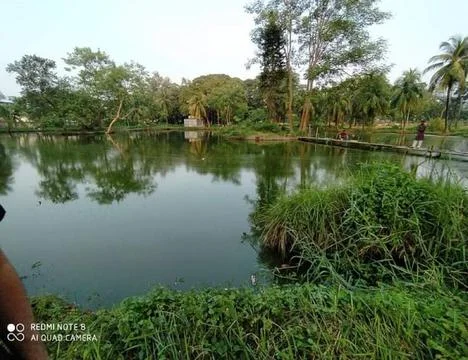 Nice pond 写真素材