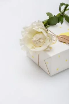 Nice present packed in white paper with small yellow stars with beautiful peo Stock Photos