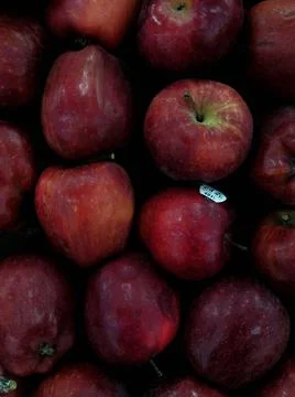 Nice red apples Stock Photos