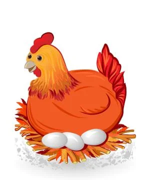 Nice red hen sitting on eggs Stock Illustration