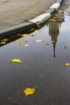Nice reflection in the autumn pool 스톡 사진