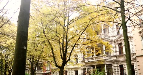 Nice residential area during bright sunny day in with golden trees during fall Stock Footage 230489775