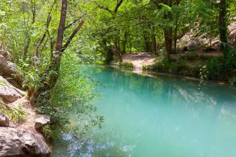 Nice river in deep forest Stock Photos