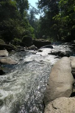 Nice river flowing through the rocks Stock Photos