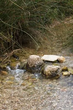 Nice riverbed with clean and transparent water in an orchard Stock Photos