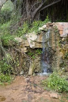 Nice riverbed with clean and transparent water in an orchard Stock Photos