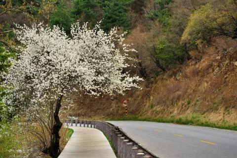 Nice road Stock Photos