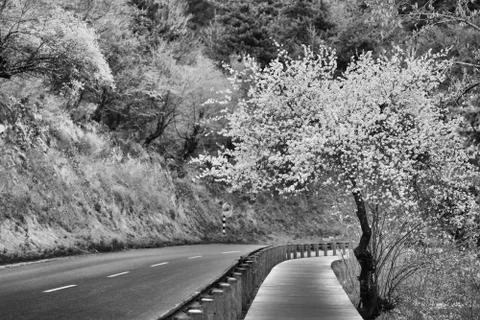 Nice road Stock Photos