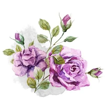 Nice roses Stock Illustration