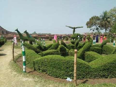 Nice Scene Stockfoto's