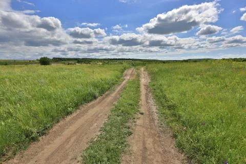 Nice scene in steppe Stock Photos